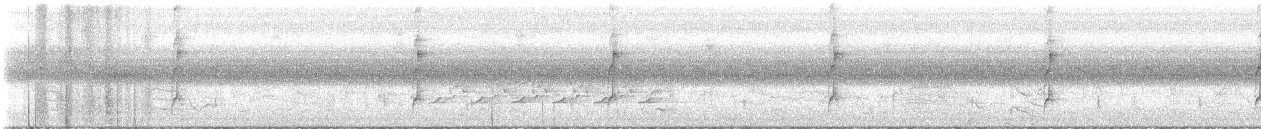 Reinita de Connecticut - ML642587249