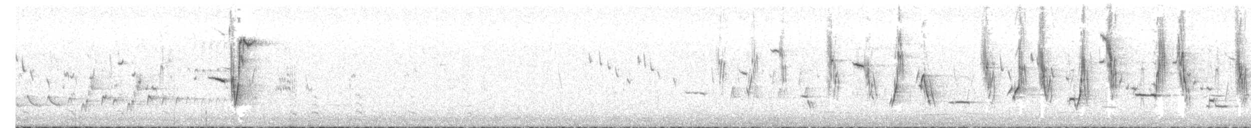 コシアカヒバリモドキ - ML642587482