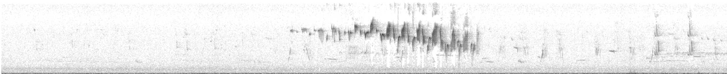 Splendid Fairywren - ML642587689