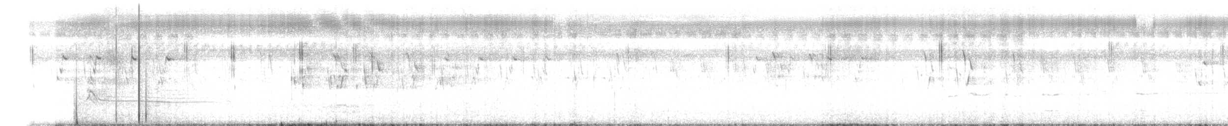 セッカ - ML642587897