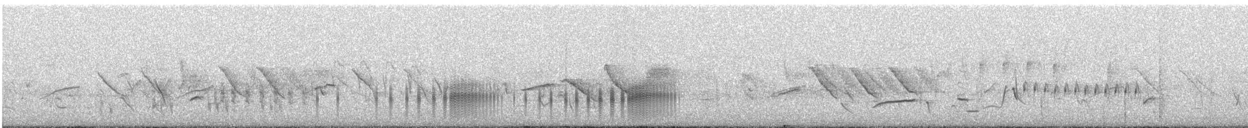 Rufous-tailed Plantcutter - ML642589661