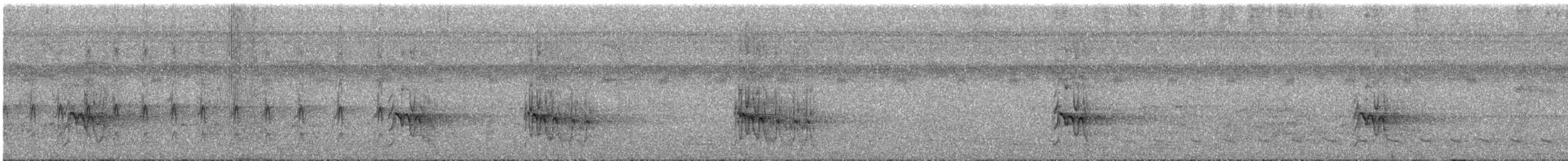 Tyran pitangua - ML642589666