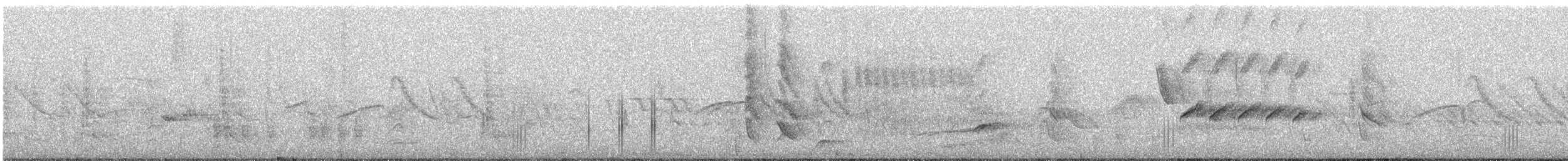 Rufous-tailed Plantcutter - ML642589671