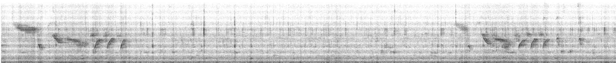 Bewick's Wren - ML642590055