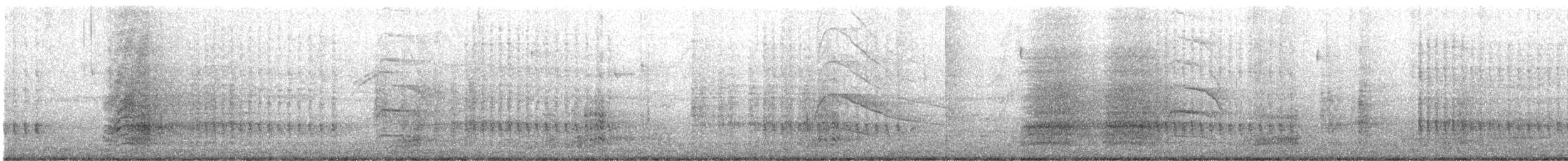 Roadside Hawk - ML642590540