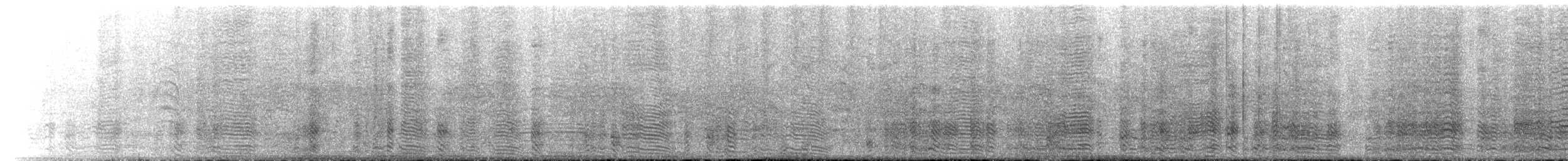 nesyt americký - ML642590746