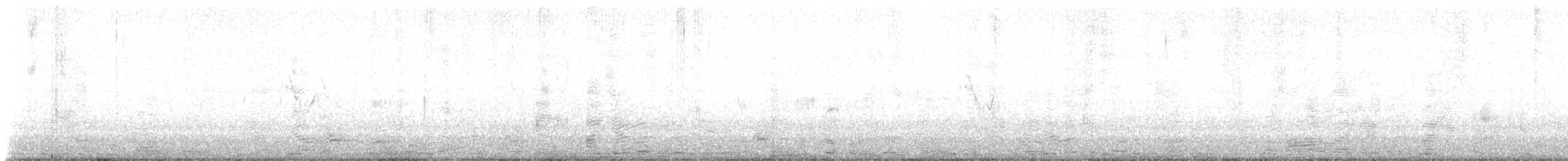 Bergeronnette grise - ML642591521