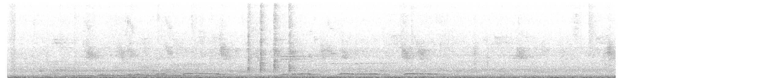 תור נקוד - ML642592522