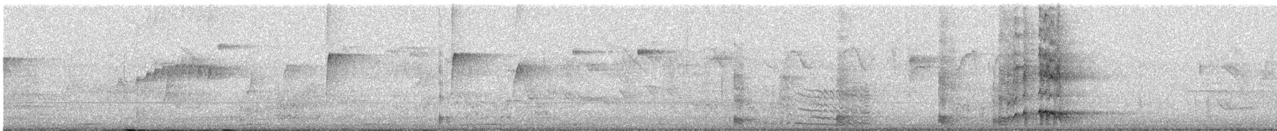 Yellow-crowned Amazon - ML642593066