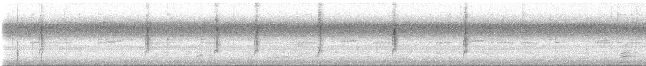 Connecticut Warbler - ML642593155