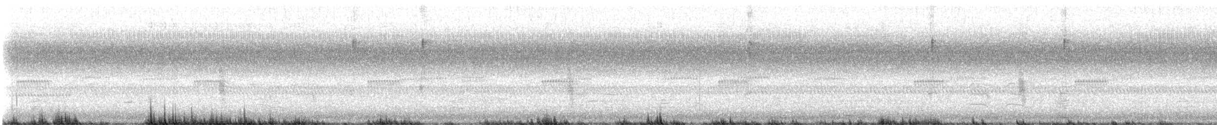 Connecticut Warbler - ML642593156