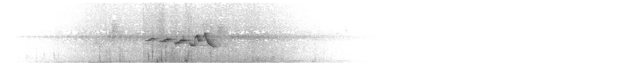 vifteparula - ML642594203