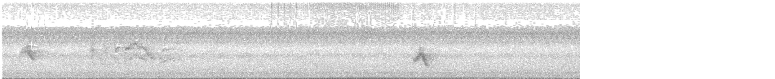 Gray-cheeked Thrush - ML642594773