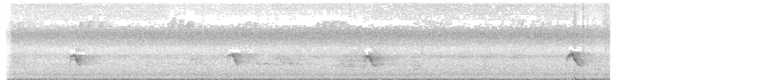 Gray-cheeked Thrush - ML642594788