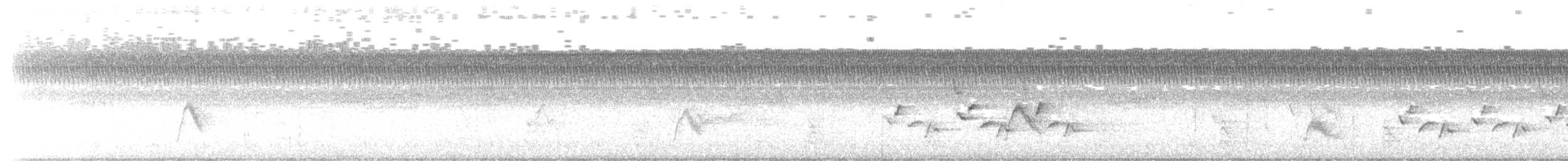 Gray-cheeked Thrush - ML642595266