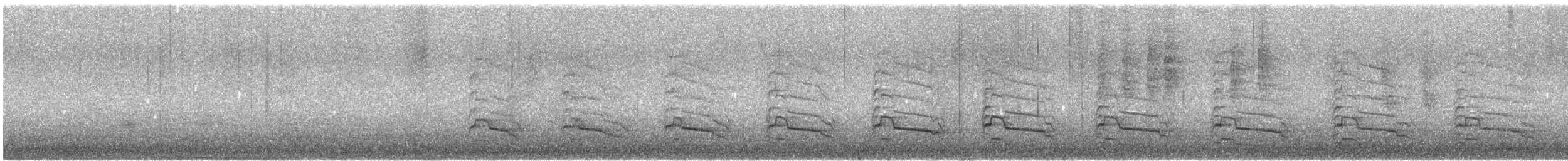 カタアカノスリ（elegans） - ML642595298