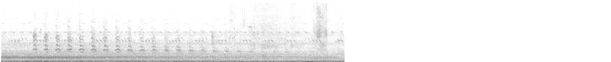 chřástal atlantický - ML642595914