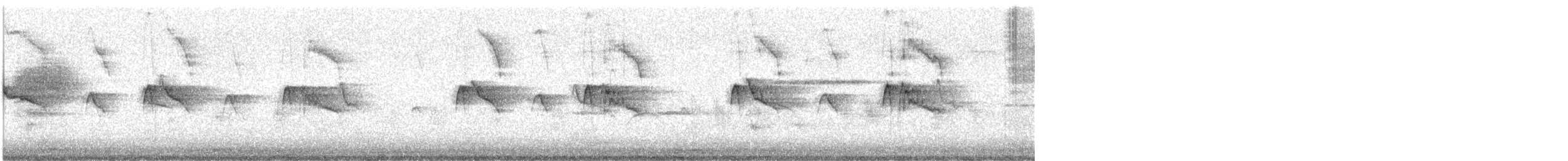 Black Phoebe - ML642596643