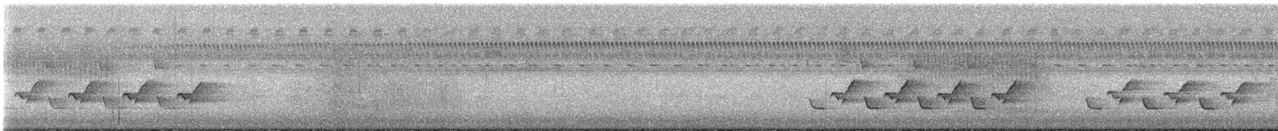 Carolina Wren - ML642597098