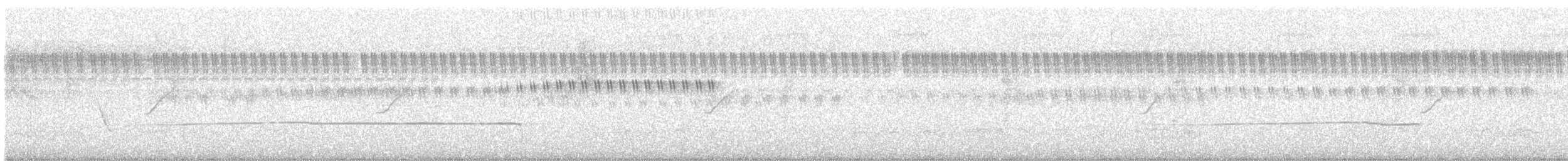 Common Iora - ML642597111