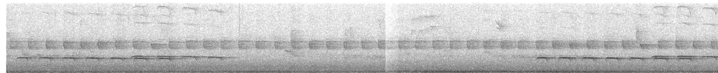 White-shouldered Fire-eye - ML642597118