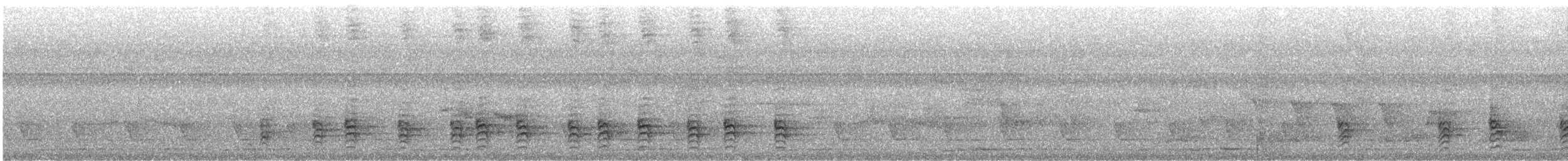 hvitstrupebylbyl - ML642598525