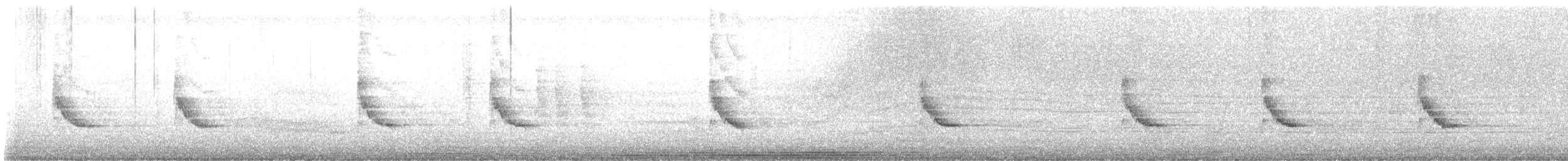 Carolina Wren - ML642598672