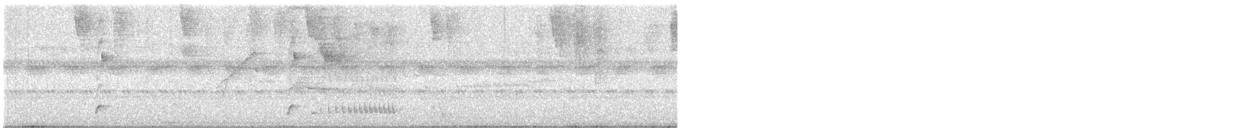 Southern Bentbill - ML642599495