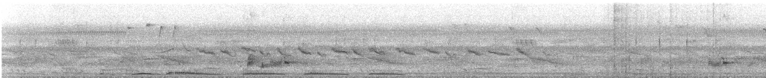 Spotted Dove - ML642599857