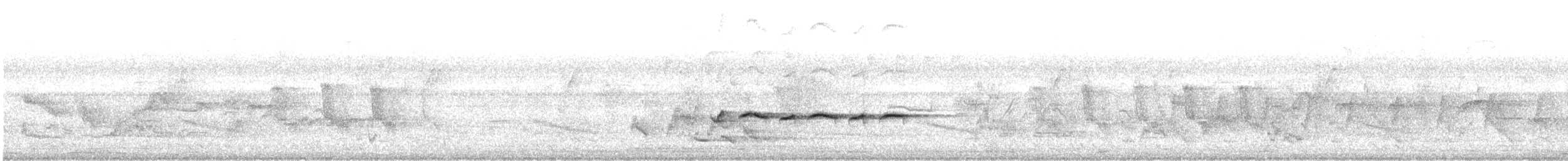 Txioa sp. - ML642600354