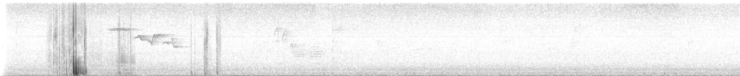 Brown Creeper - ML642601002