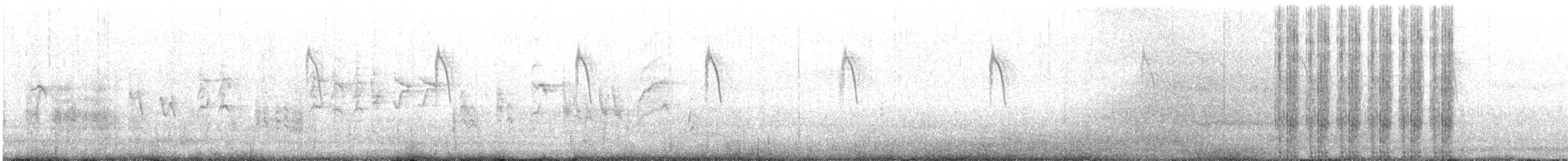 Cannaiola comune - ML642601034