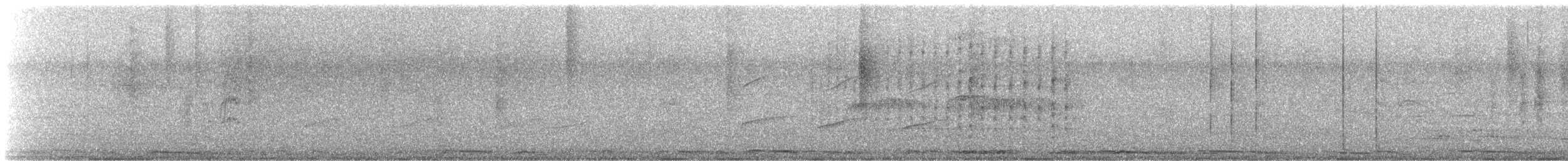 Hoffmann's Woodpecker - ML642601418