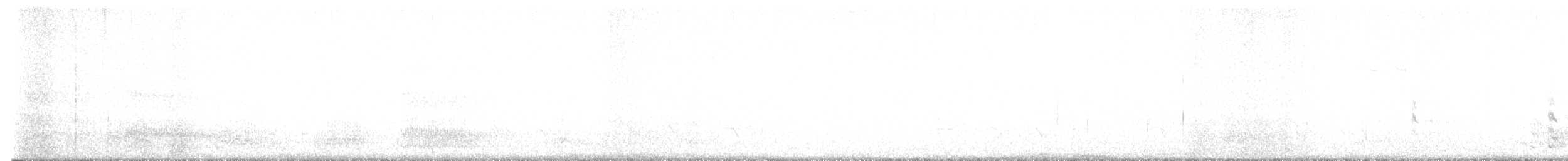 ツルシギ - ML642603250