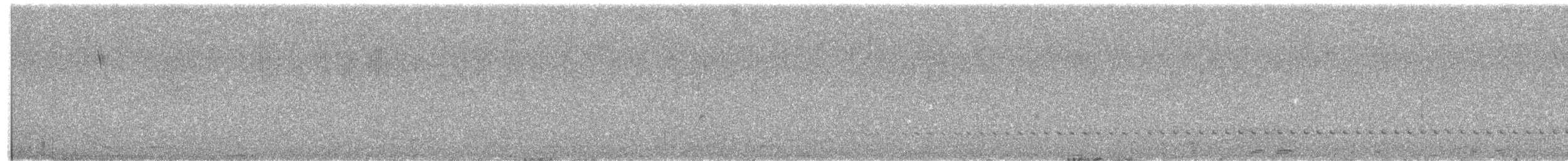 Darwin's Nothura - ML642604643
