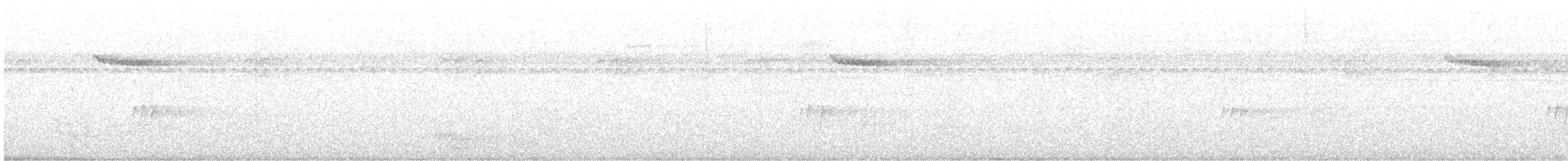 Brown Creeper - ML642605672