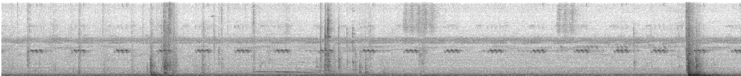 Barred Owl - ML642605682