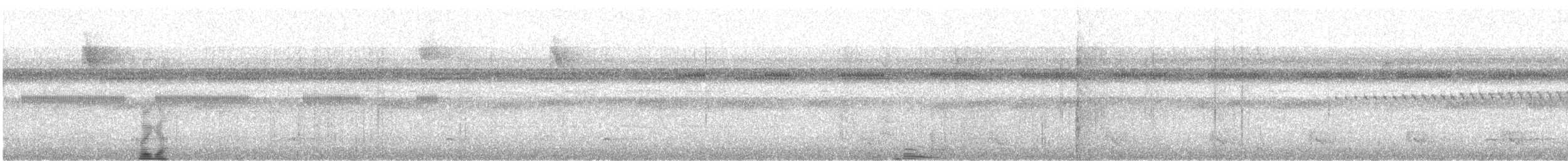 Gray Antbird - ML642605714