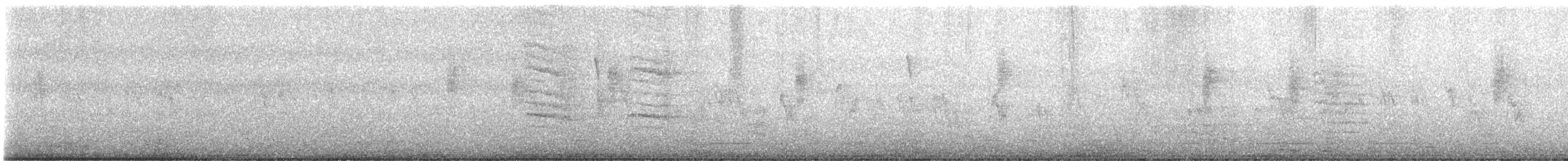 Mosquitero Boreal - ML642605786