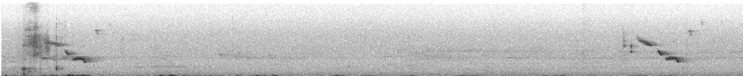 Brown Thornbill - ML642606187