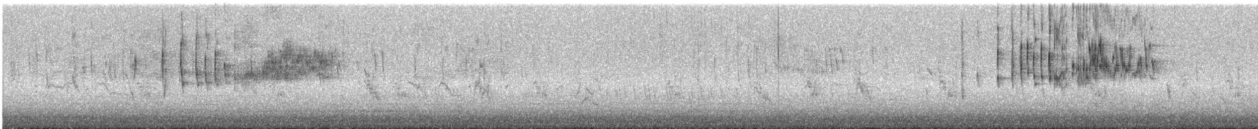 Bruant proyer - ML642607011