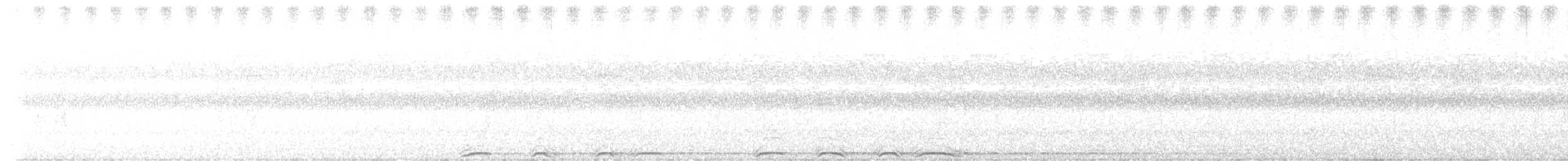 Barred Owl - ML642608774