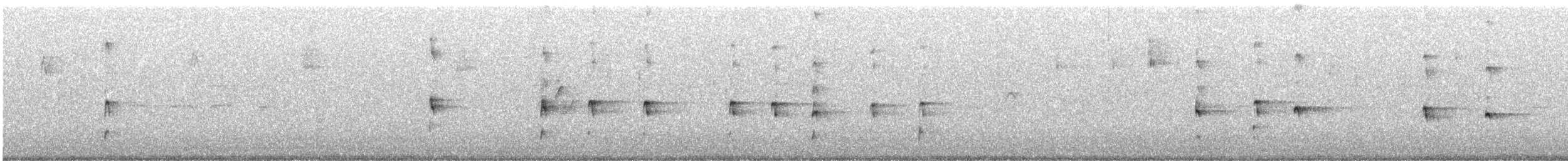 Water Rail - ML642611994