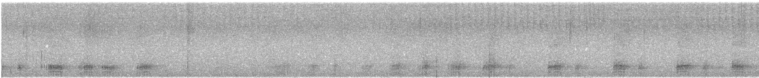 Grauschnabelarassari - ML642612348