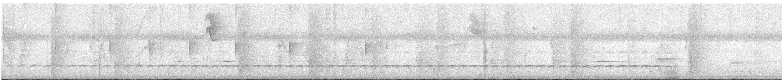 Spotted Puffbird - ML642612546