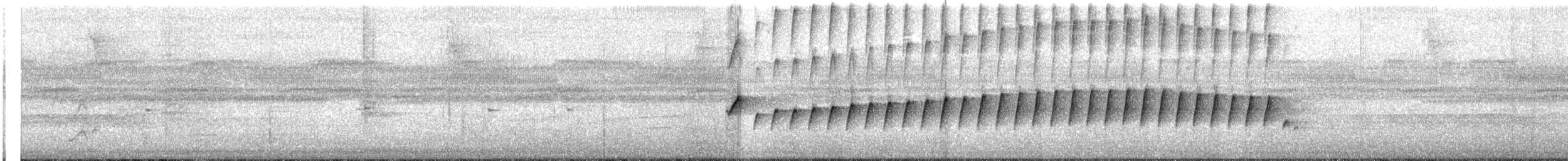 Silberameisenschnäpper - ML642612692