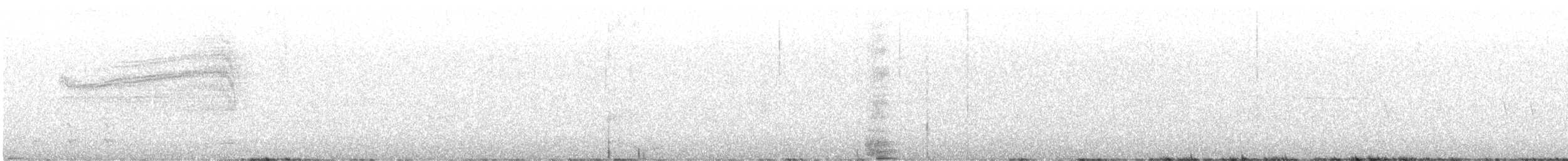 Barred Owl - ML642614210