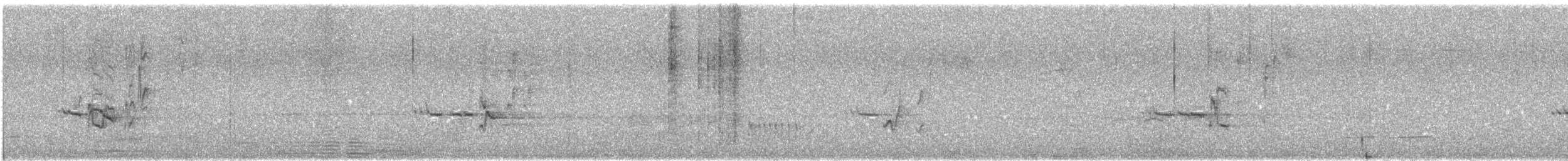 Chiguanco Thrush - ML642615020
