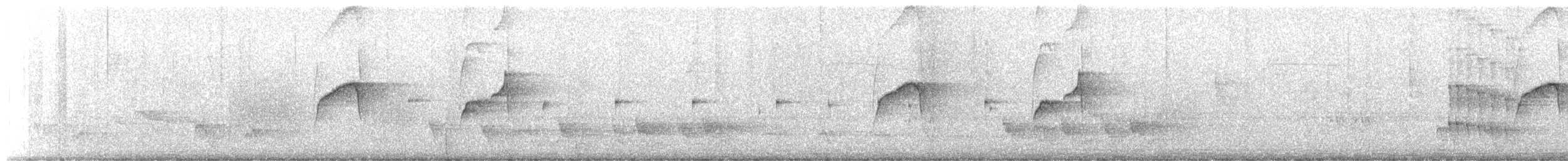 Gray-bellied Spinetail - ML642615191