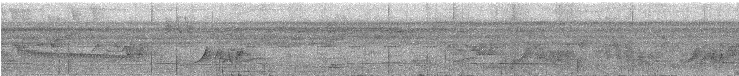 småtinamu - ML642615940